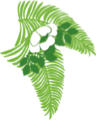 Palm